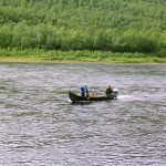 Tenolla